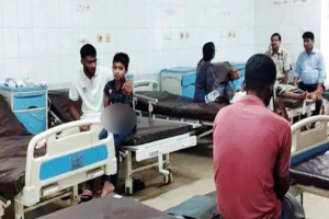 কোরবানির পশু জ*বাইকালে সিলেটে আ*হত  ৮০