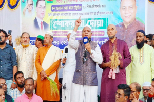 সিলেট-৬ আসনে ৫৪ বছর শুধু ধানের চাষ  হয়েছে, এবার  ফসল তোলার পালা- এমরান চৌধুরী