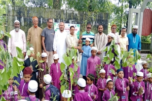 গোয়াইনঘাটে রোটারি ক্লাব অব সেন্ট্রাল সিলেট এর বৃক্ষরোপণ গোয়াইনঘাটে রোটারি ক্লাব অব সেন্ট্রাল সিলেট এর বৃক্ষরোপণ