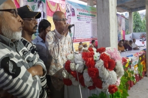 কলাপাড়ায় বিএনপির সাংগঠনিক সমাবেশ অনুষ্ঠিত