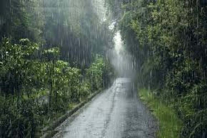 বালাগঞ্জে বৃষ্টি সবাই মনে সস্তি