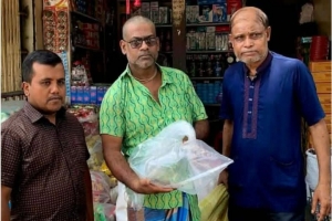 শ্রীমঙ্গলে দাঁড়াশ ও ঘরগিন্নি সাপ উদ্ধার শ্রীমঙ্গলে দাঁড়াশ ও ঘরগিন্নি সাপ উদ্ধার