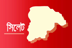 সিলেটে নানা বাড়িতে বেড়াতে এসে পানিতে ডুবে শিশুর মৃ'ত্যু