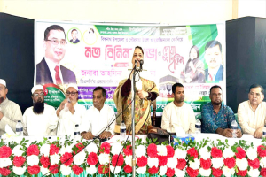 বিএনপি ইসলামী মূল্যবোধে বিশ্বাসী একটি রাজনৈতিক দল: লুনা