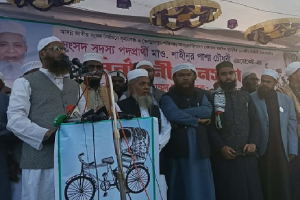 ইনসাফভিত্তিক বাংলাদেশ গড়তে রিকশায় ভোট দিন- মামুনুল হক