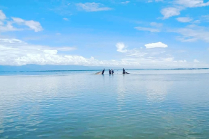 সুনামগঞ্জে হাওর ভরাট করে হবে বিশ্ববিদ্যালয়!
