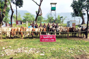 সিলেটে কোটি টাকার ভারতীয় পণ্য জ*ব্দ