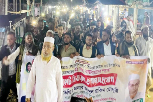 বিপুল ভোটে বিজয়ী হয়ে বিএনপি সরকার গঠন করবে -হাকিম চৌধুরী