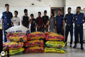 ওসমানীনগরে মহাসড়কে গাড়ি ডা কা তি : ৬ জন গ্রে ফ তা র