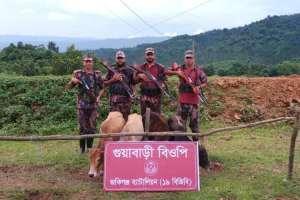 জৈন্তাপুরে বিজিবির বিশেষ অভিযানে ভারতীয় ৪টি বাছুর গরু আ ট ক