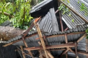 ঝড়ের মধ্যে আম কুড়াতে গিয়ে আর ফেরা হলো না ঝড়ের মধ্যে আম কুড়াতে গিয়ে আর ফেরা হলো না