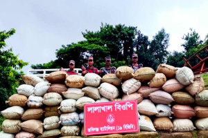 জৈন্তাপুরে পৃথক অভি*যানে চো*রাই পণ্য জ*ব্দ