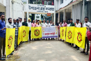 গোয়াইনঘাটে স্বাস্থ্য সহকারীদের অবস্থান কর্মসূচি পালন