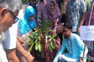 জাতীয় উন্নয়নের ধারাবাহিকতায় বৃক্ষরোপণের বিকল্প নেই, এমপি তাহসিনা রুশদী লুনা জাতীয় উন্নয়নের ধারাবাহিকতায় বৃক্ষরোপণের বিকল্প নেই, এমপি তাহসিনা রুশদী লুনা