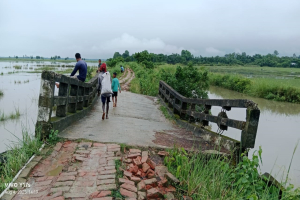 গোয়াইনঘাটে নড়বড়ে সেতু দিয়ে ঝুঁ কি পূ র্ণ চলাচল