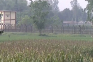 কৃষকদের ধাওয়ায় অ*স্ত্র-ওয়াকিটকি ফেলে পালাল বি এ স এ ফ কৃষকদের ধাওয়ায় অ*স্ত্র-ওয়াকিটকি ফেলে পালাল বি এ স এ ফ