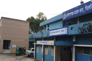 গোলাপগঞ্জে সড়কে প্রা*ণ গেল যুবকের