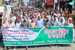 আওয়ামী লীগ ধ্বং*সাত্মক কর্মকা*ণ্ডে মেতে উঠেছে
