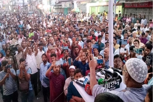 জাতীয় পার্টি পিপীলিকা নয় বা জ পা খি : মোস্তফা