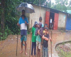 হবিগঞ্জে পাগলা কুকুরের কামড়ে হাসপাতালে ১৪ জন