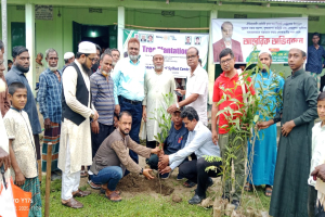 গোয়াইনঘাটে শতাধিক শিক্ষার্থীর সুন্নতে খৎনা ও বৃক্ষরোপণ