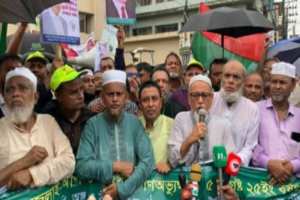জগন্নাথপুরে বিএনপির উদ্যোগে ছাত্র-জনতার বিজয় মি ছি ল
