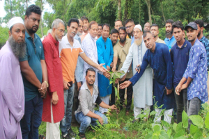 সিলেট মহানগর কৃষকদলের উদ্যোগে বৃক্ষরোপন