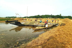 সরকারের সহায়তা কৃষক তালিকায় নানা দুর্নীতি ও অনিয়মের অভিযোগ সরকারের সহায়তা কৃষক তালিকায় নানা দুর্নীতি ও অনিয়মের অভিযোগ