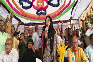 দেশ বাঁ চা তে বিএনপির বিকল্প নেই: জেবুন নাহার সেলিম