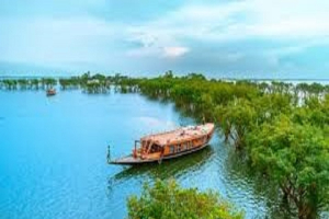 টাঙ্গুয়ার হাওরে চাষের নামে  শতবর্ষী হিজল বন ধ্বংস