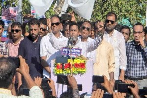 ধানের শীষের মনোনীত প্রার্থী আনিসুল হককে বর্ণাঢ্য সংবর্ধনা