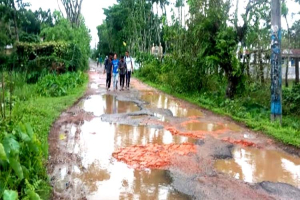 ওসমানীনগরে কয়েকটি সড়কের বেহাল দশা