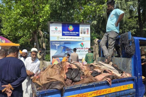 এবারও হতাশ চামড়া ব্যবসায়ীরা, দাম গত বছরের চেয়েও কম এবারও হতাশ চামড়া ব্যবসায়ীরা, দাম গত বছরের চেয়েও কম