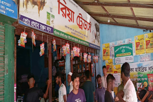 জগন্নাথপুরে সবজির চারা ও বীজ বিক্রির ধূম, চাষাবাদে ব্যস্ত সবজি চাষীরা
