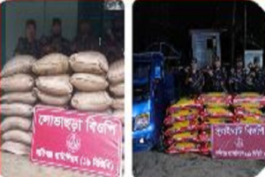 সিলেট সীমান্তে ৩৬ লাখ টাকার ভা*রতীয় জিরা, চিনি, গরু ও পান জ*ব্দ