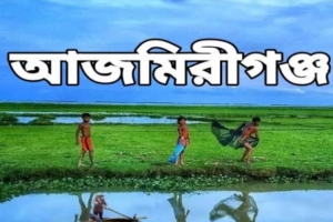 আজমিরীগঞ্জে সিএনজির ধা ক্কা য় ৭৫ বছরের বৃদ্ধা নি হ ত আজমিরীগঞ্জে সিএনজির ধা ক্কা য় ৭৫ বছরের বৃদ্ধা নি হ ত