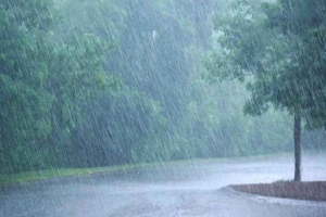 সিলেটসহ বিভিন্ন অঞ্চলে বৃষ্টি হতে পারে