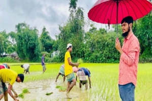 গোয়াইনঘাটে রোদ-বৃষ্টি উপেক্ষা করে মাঠে মাঠে আমন রোপণের ধুম, কৃষকের চোখে সোনালি স্বপ্ন গোয়াইনঘাটে রোদ-বৃষ্টি উপেক্ষা করে মাঠে মাঠে আমন রোপণের ধুম, কৃষকের চোখে সোনালি স্বপ্ন