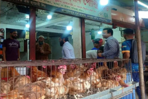 জগন্নাথপুরে মোবাইল কোর্ট পরিচালনা করে অর্থদন্ড প্রদান