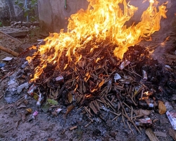 কমলগঞ্জে ১ লাখ ৩৮ হাজার টাকার নাসির বিড়ি ধ্বংস