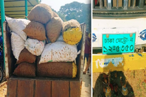 সিলেটে বিপুল পরিমাণ ভা*রতীয় আলু জ*ব্দ