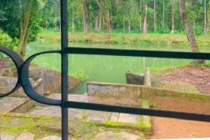 বড়লেখায় পুকুরে ডু*বে শিশুর মৃ*ত্যু, এলাকায় শো*ক