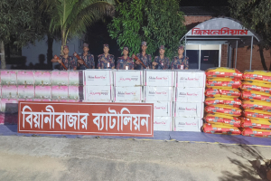 সিলেট সী*মান্তে পৌনে ২ কোটি টাকার ভা*রতীয় পণ্য জ*ব্দ