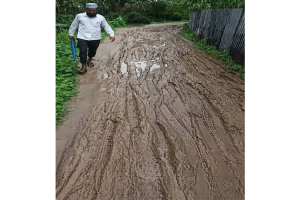 তিন গ্রামের মানুষের গলার কাঁটা এক্তিয়ারপুর-শাহপুর রাস্তা