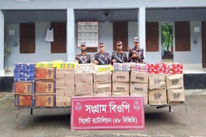 সিলেটে প্রায় ৮১ লক্ষ টাকার চো*রাচালানির মালামাল জ*ব্দ
