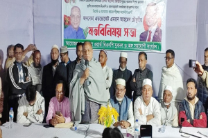 ইতিহাসের মর্যাদা রক্ষায় ধানের শীষকে বিজয়ী করুন, কথা দিচ্ছি  উন্নয়ন উপহার দেবো