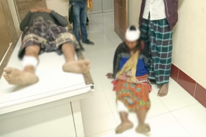 মাধবপুরে মুক্তিযোদ্ধা পরিবারের তিন সদস্যকে পিটিয়ে আহত      