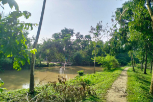 বিলাশেড় পাড়ে সাঁকোর দুর্ভোগ, লাশও নিতে হয় নৌকায়