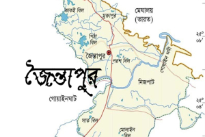 জৈন্তাপুরে নাতির হাতে প্রা*ণ গেল নানির