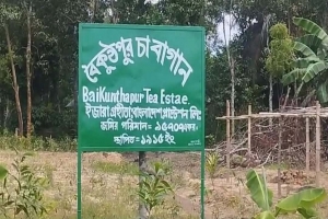 মাধবপুরে চা-বাগান কর্তৃপক্ষের বি'রুদ্ধে জমি দ'খলের অ'ভিযোগ মাধবপুরে চা-বাগান কর্তৃপক্ষের বি'রুদ্ধে জমি দ'খলের অ'ভিযোগ